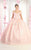 May Queen LK154 - Floral Applique Ballgown Ball Gowns 4 / Blush