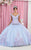 May Queen LK160 - 3D Floral Appliques Sweetheart Ball gown Ball Gowns 4 / Lilac/Babyblue