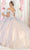 May Queen LK164 - Pastel Blossoms Quinceanera Ballgown Quinceanera Dresses