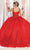 May Queen LK195 - Floral Quinceanera Ballgown Ball Gowns