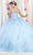 May Queen LK195 - Floral Quinceanera Ballgown Ball Gowns