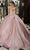 Mori Lee 89340 - Basque Waist Quinceanera Ballgown Quinceanera Dresses