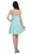 Poly USA - 7006 Sleeveless Illusion Neck Chiffon A-line Dress Special Occasion Dress