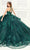 Princesa by Ariana Vara PR30082 - Floral Halter Ballgown Quinceanera Dresses