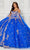 Princesa by Ariana Vara PR30087 - V-Neck Tiered Back Ballgown Ball Gowns 00 / Royal/Gold