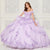 Princesa by Ariana Vara PR30113 - Sweetheart Appliqued Ballgown Special Occasion Dress