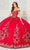 Princesa by Ariana Vara PR30114 - Metallic Applique Ballgown Special Occasion Dress 00 / Ruby/Gold
