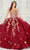 Princesa by Ariana Vara PR30121 - Strapless Embroidered Ballgown Quinceanera Dresses 00 / Wine/Gold