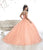 Quinceanera Collection - 26866 Sparkly Illusion Lace Up Back Ballgown Special Occasion Dress