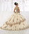 Quinceanera Collection - 26912 Beaded Lace Embellished  Tulle Ballgown Special Occasion Dress