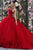 Vizcaya by Mori Lee - 34026 Illusion Halter Lace Ballgown Ball Gowns 0 / Red