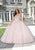 Vizcaya by Mori Lee 34084 - Glittered Tulle Ballgown Special Occasion Dress