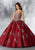 Vizcaya by Mori Lee - 89196 Metallic Embroidered Ballgown with Bolero Quinceanera Dresses 0 / Sangria