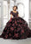 Vizcaya by Mori Lee - 89325 Vintage Velvet Floral Ballgown Quinceanera Dresses 00 / Black/Multi