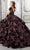 Vizcaya by Mori Lee - 89325 Vintage Velvet Floral Ballgown Quinceanera Dresses