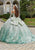 Vizcaya by Mori Lee 89401 - Flounce Sleeved Quinceanera Ballgown Special Occasion Dress