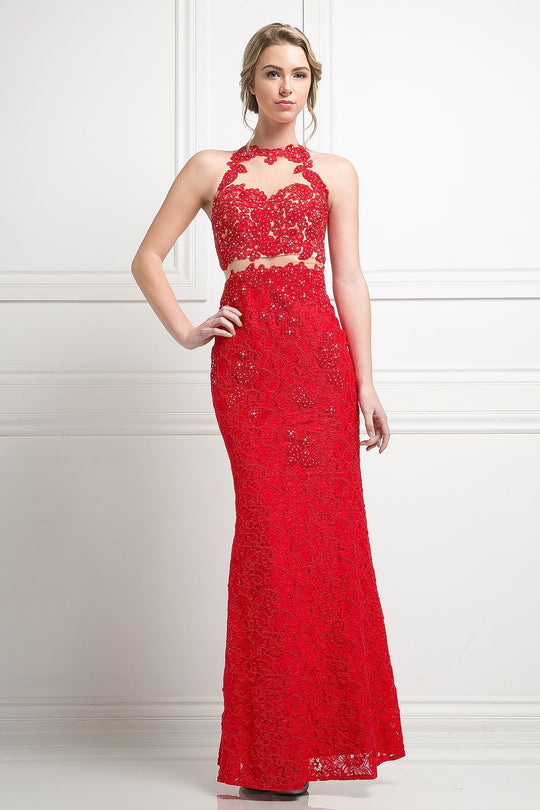 Ladivine 1586 - Sheer Lace Appliqued Sheath Gown