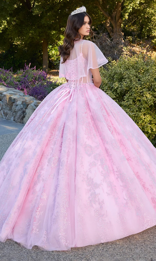 Ashley Lauren 30113 - Illusion Corset Glitter Lace Ballgown