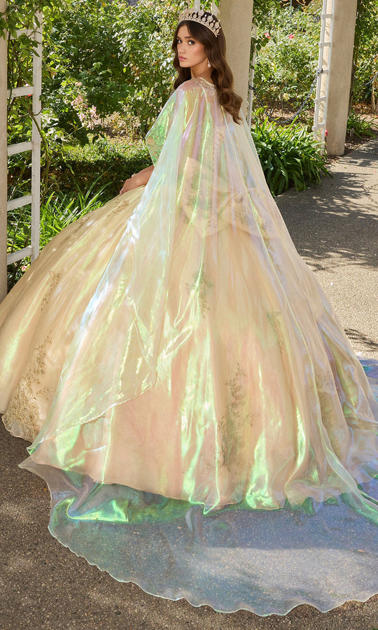 Ashley Lauren 30114 - Embroidered Metallic Organza Ballgown