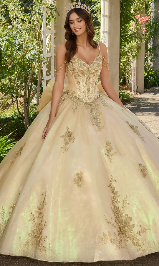Ashley Lauren 30114 - Floral Lace V-Neckline Ballgown