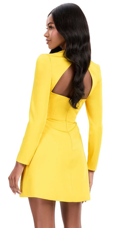 Ashley Lauren 4971 - Long Sleeve Square Neck Crepe Dress