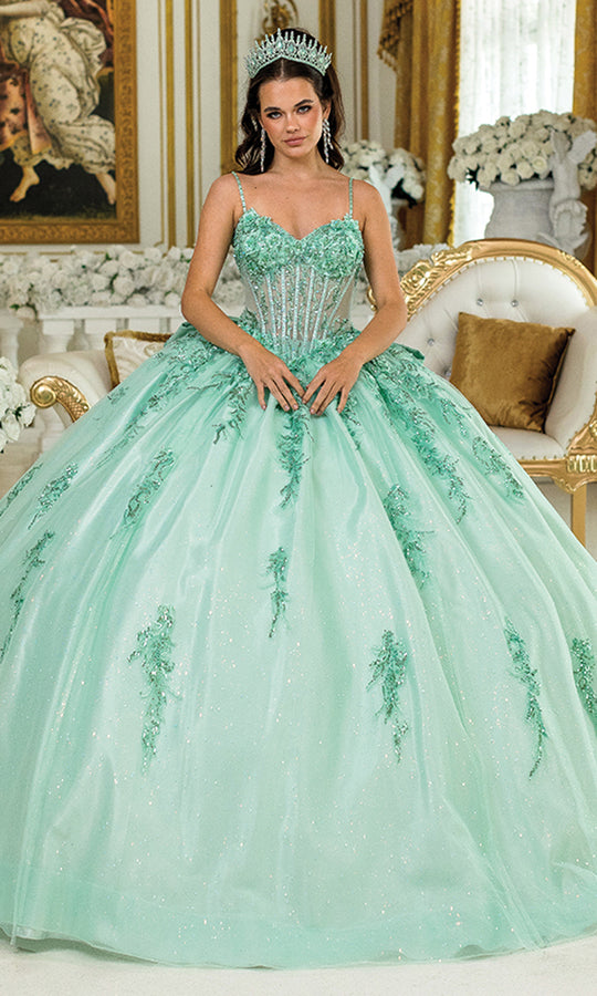 Dancing Queen 5049 - Corset Floral Embroidered Ballgown