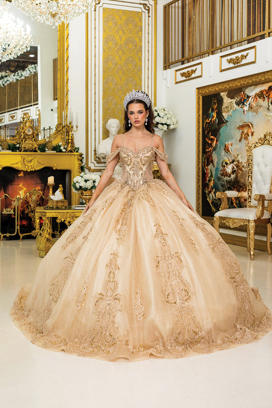 Dancing Queen 5052 - Lace Appliques Glitter Tulle Ballgown