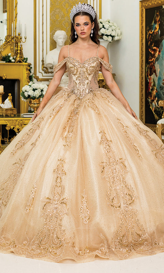 Dancing Queen 5052 - Lace Appliques Glitter Tulle Ballgown