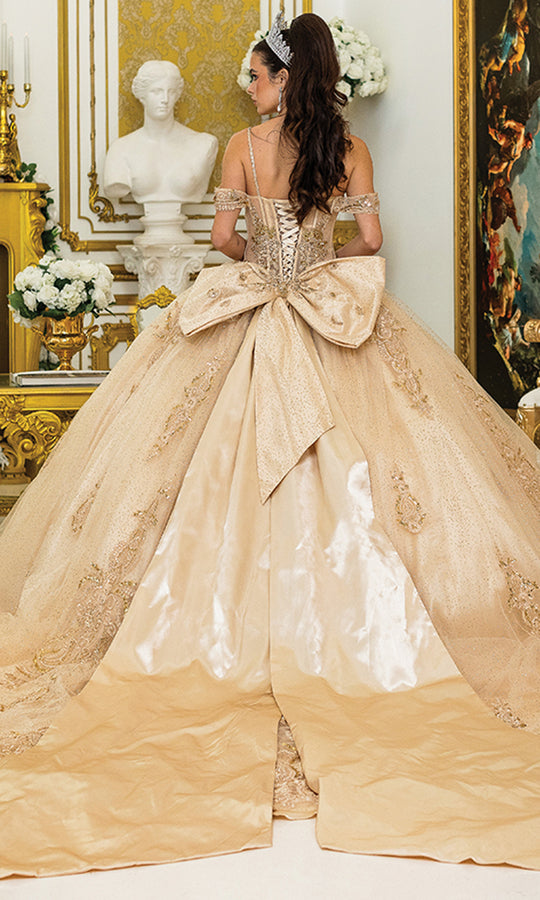 Dancing Queen 5052 - Lace Appliques Glitter Tulle Ballgown