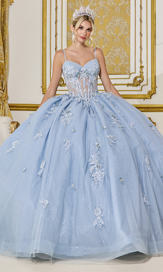 Dancing Queen 5073 - Embroidered Floral Appliques Corset Ballgown