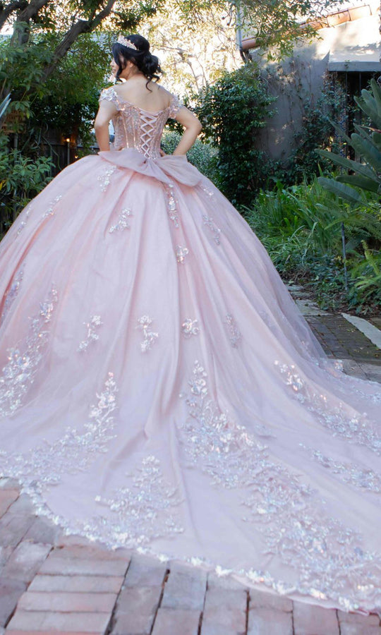 Cinderella Couture 8370J - Sweetheart Sequin Embroidered Ballgown