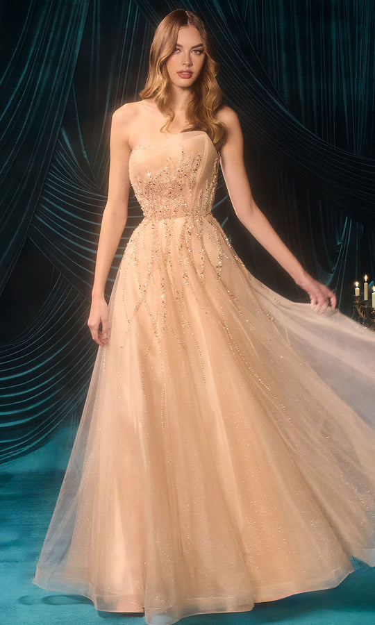 Andrea and Leo A1491 - Beaded A-Line Skirt Evening Gown