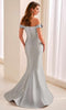 Cameron Blake CB447 - Lace Applique Mermaid Long Dress In Silver