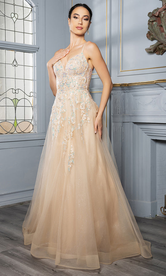 May Queen MQ2165 - Lace Applique Tulle A-line Gown