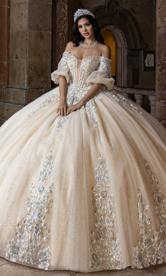 Rachel Allan RQ1165 - Plunging Neck Glitter Ballgown with Embroidery