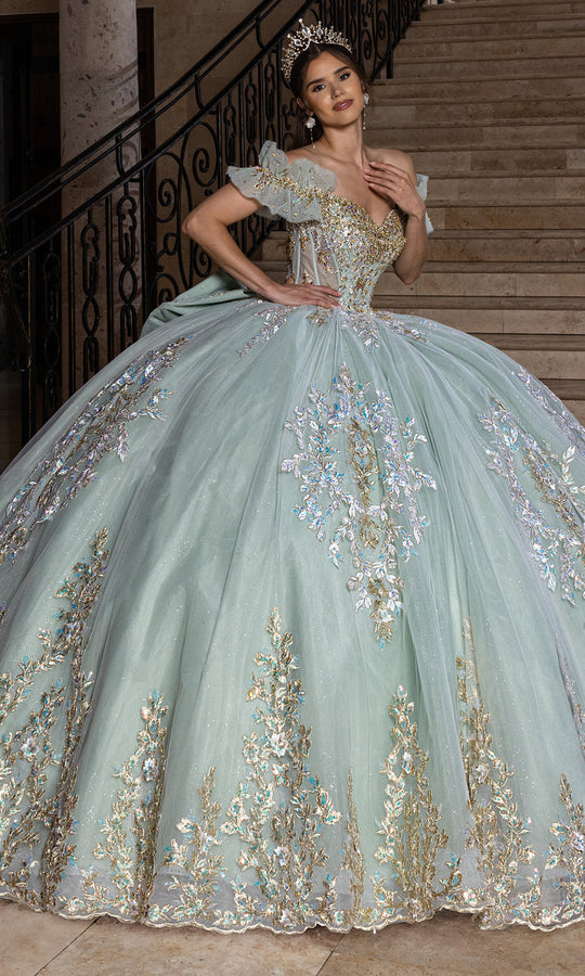 Rachel Allan RQ2240 - Floral Applique Ball Gown