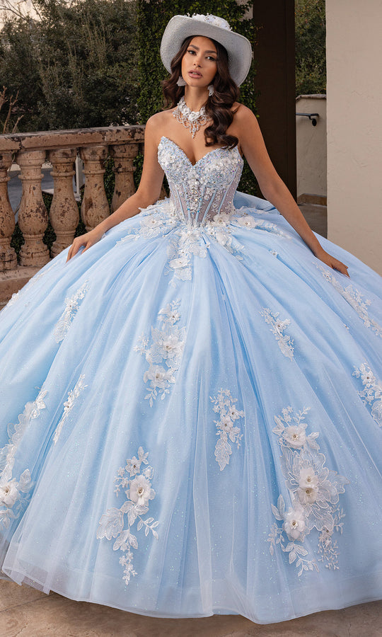 Rachel Allan RQ3156 - Strapless Floral Appliqued Quince Ballgown