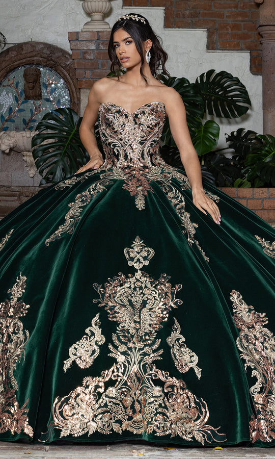 Rachel Allan RQ3160 - Embroidered Velvet Quinceanera Ballgown