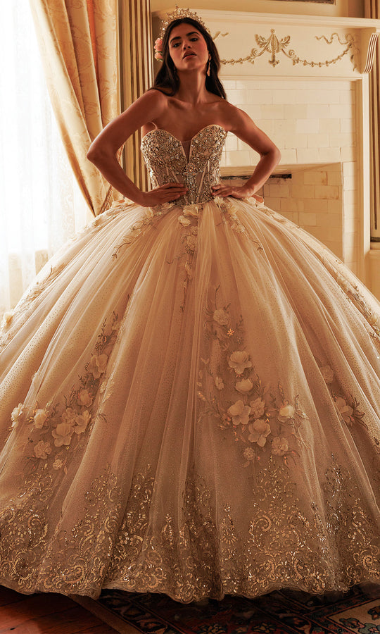 Rachel Allan RQ3180 - Floral Embellished Strapless Ballgown