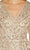 Adrianna Papell AP1E209809 - Beaded V Neck Mesh Dress Special Occasion Dress