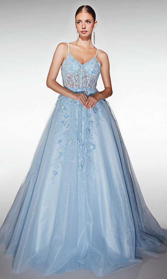 Aerie Couture 371 - Sheer Corset Ball Gown with Floral Applique