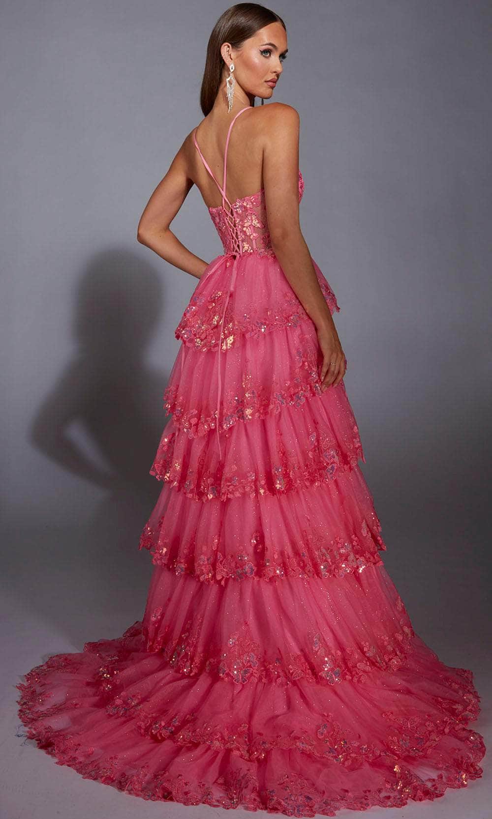 Paris Ruffle Dress Alyce Paris 61927 - Long Glitter Tulle/Lace A-line Dress - Embroidered ...