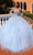 Amarra 54290 - Bishop Sleeve Appliqued Ballgown Special Occasion Dress 00 / Light Blue
