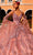 Amarra 54293 - Beaded Embroidery V-Neck Ballgown Special Occasion Dress