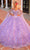 Amarra 54308 - Sweetheart Floral Appliqued Ballgown Special Occasion Dress 00 / Lilac