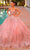 Amarra 54310 - Cold Shoulder Embroidered Ballgown Special Occasion Dress 00 / Blush