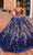 Amarra 54322 - 3D Floral Embellished Sleeveless Ballgown Special Occasion Dress 00 / Royal Blue/Multi