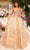 Amarra 88741 - Floral Lace Appliqued Prom Gown Special Occasion Dress 00 / Gold
