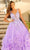 Amarra 88880 - Floral Embellished V-Neck Ballgown Special Occasion Dress