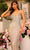 Amarra 94046 - Empire Sheath Evening Dress Special Occasion Dress